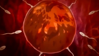 Thumbnail of post image 012